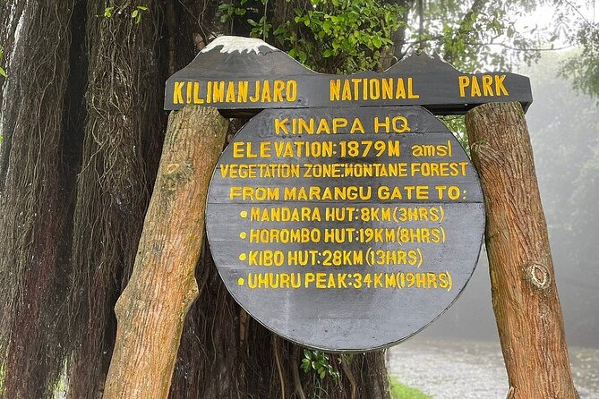 Full Day Private Hiking Tour to Kilimanjaro Mountain - The Hike Up to Mandara Hut: Rainforest Trails and a Clear Goal