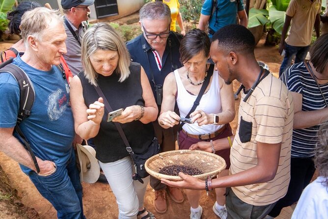 Full-Day Private Materuni Waterfalls and Coffee in Tanzania - Key things that make this Moshi day trip work