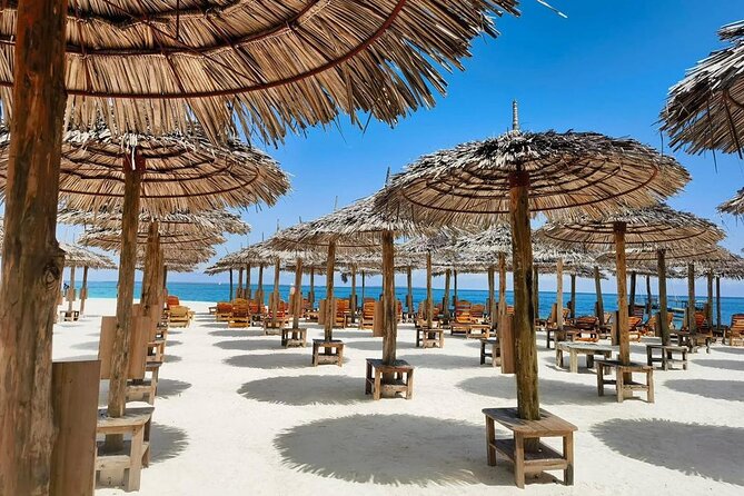 Full Day Private Mnemba Island + Turtles Aquarium & Kendwa Beach - Who should book this Mnemba, turtles, and Kendwa day