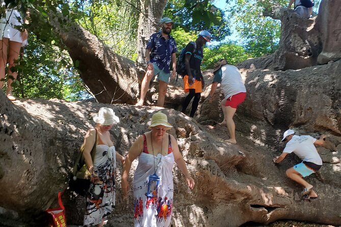 Full Day Private Safari Blue Sea Adventure in Zanzibar - Lunch, BBQ, and Local Beers: Included Food That Actually Feels Like a Day Out