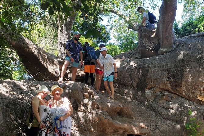 Full Day Private Safari Blue Sea Adventure in Zanzibar - Price and Value: What $130 Buys You for a Full Snorkel Day