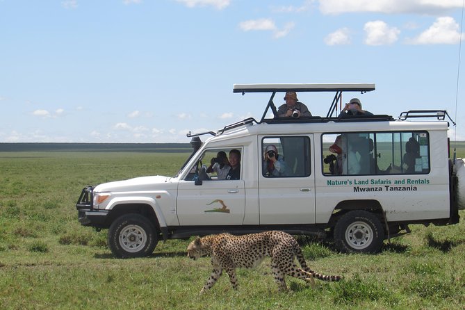 Full-Day Private Serengeti Safari from Mwanza - Your 6:00 am start, and why it matters for Serengeti