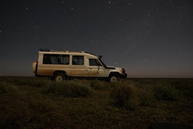 Full-Day Private Serengeti Safari from Mwanza - Inside Serengeti for the whole day: what to expect