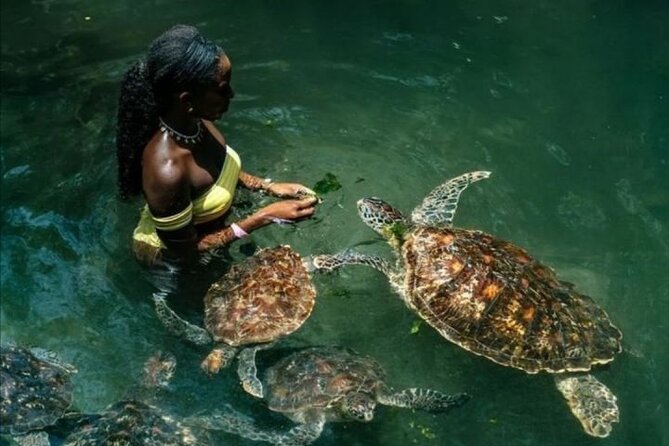 Full Day Private Zanzibar Tour with Sunset Beach - Key highlights you will care about