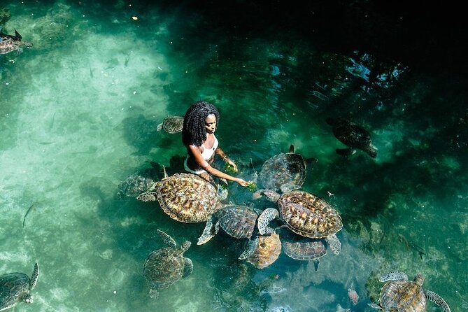 Full Day Private Zanzibar Tour with Sunset Beach - 9:30 pickup and how the day is likely to run in Zanzibar City