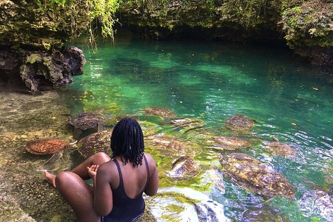 Full Day Private Zanzibar Tour with Sunset Beach - Mnemba Island Atoll snorkeling: marine life time with the boat crew