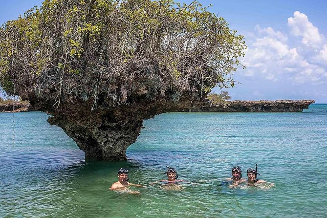 Full-day Safari Blue Trip in Zanzibar with Lunch buffet - Key things I’d pay attention to