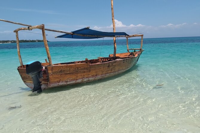 Full-day Safari Blue Trip in Zanzibar with Lunch buffet - Group size, timing, and the vibe on the dhow