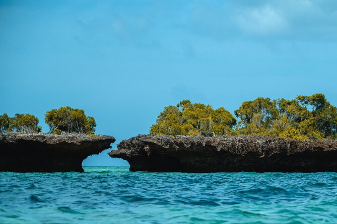 Full Day Safari Blue Zanzibar - Price and what $100 actually covers