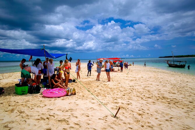 Full Day Safari Blue Zanzibar - Mangrove island swim: a quieter change of pace