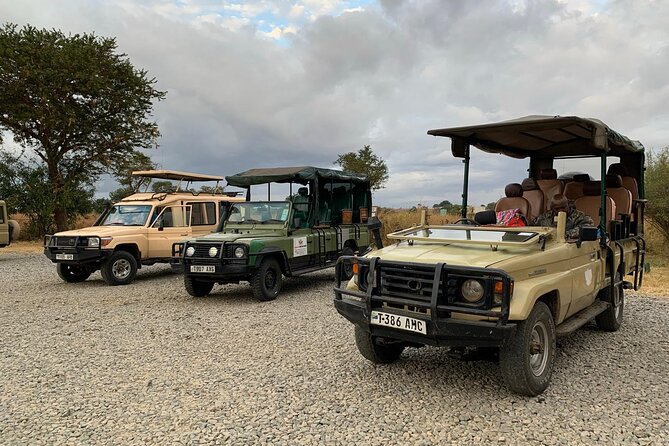 Full-Day Safari Tour from Mikumi National Park of Zanzibar - Birdlife makes your safari feel richer without adding extra stops