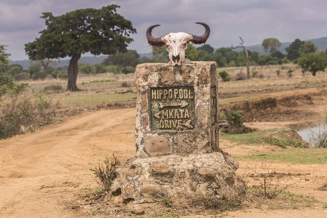 Full-Day Safari Tour from Mikumi National Park of Zanzibar - Practical tips for enjoying Mikumi without stress