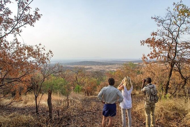 Full-Day Serengeti Tour from Mwanza - From Mwanza to Ndabaka Gate: Early Start and Breakfast Break