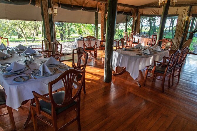 Full-Day Serengeti Tour from Mwanza - Picnic Lunch in the Park and the Art of Waiting for Cats