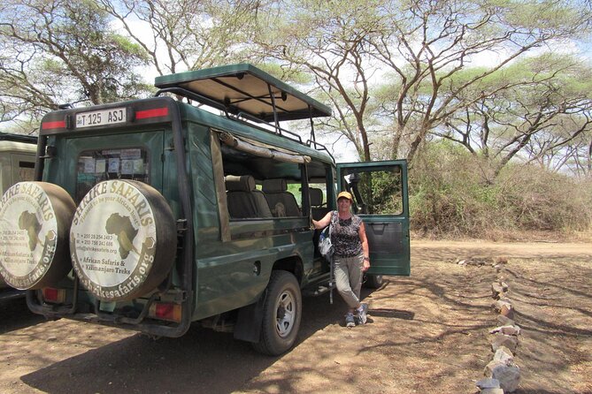 Full-Day Serengeti Tour from Mwanza - What Your $498 Buys, and the Tip Budget