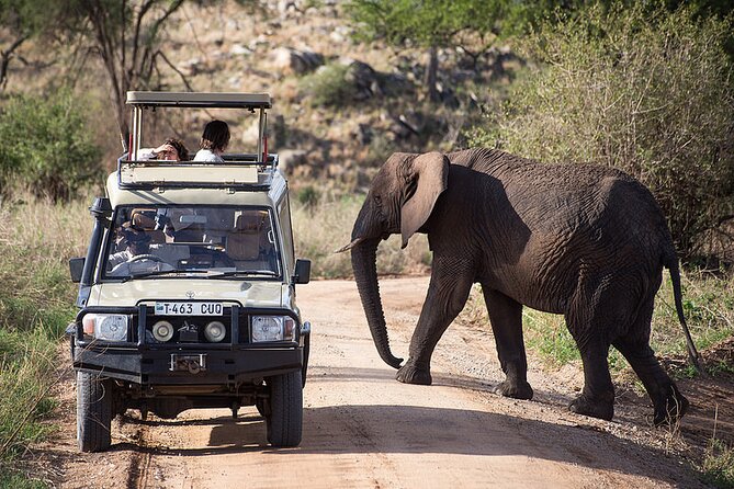 Full-Day Serengeti Tour from Mwanza - Packing for 12 Hours and How to Read Animal Behavior