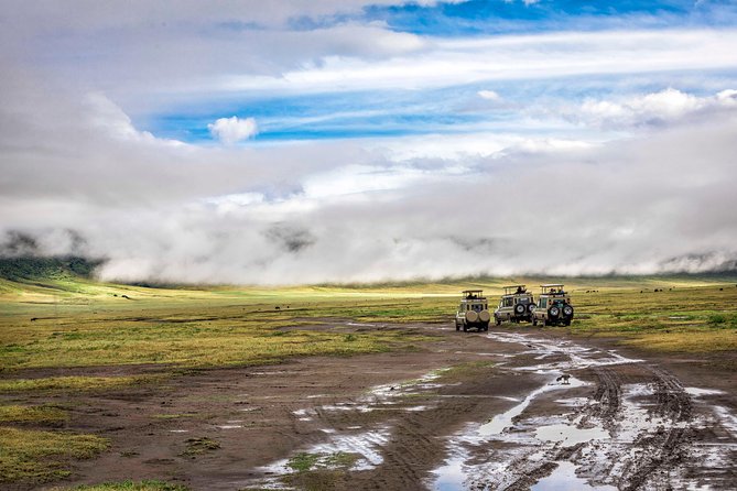 Full Day To Arusha National Park - Walking safari: the best way to slow down and spot more