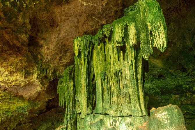 Full-day Tour Mnemba Jozani Forest Kuza Cave Paje Beach The Rock - How this full day flows, from sea to forest to cave to sea again