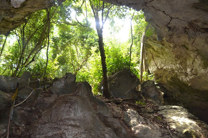 Full-day Tour Mnemba Jozani Forest Kuza Cave Paje Beach The Rock - Paje Beach: beach reset time in shallow turquoise water