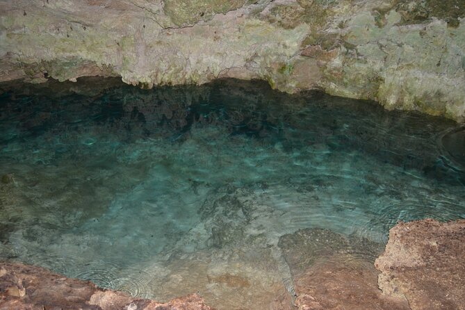 Full-day Tour Mnemba Jozani Forest Kuza Cave Paje Beach The Rock - Price and value: what your $140 actually covers