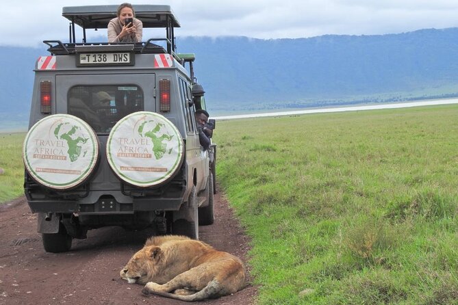 Full-Day Trip to Ngorongoro Crater from Arusha Town - The 4x4 crater game drive, what you should expect to spot