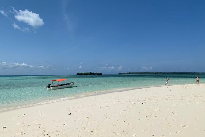 Fullday trip to Pungume and Uzi Island for Snorkeling and more - Key moments to plan for
