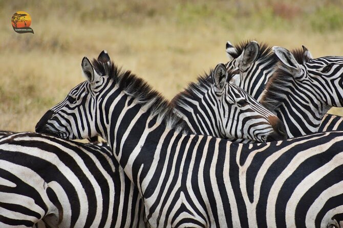 Group Safari 7 Days in Tanzania's Main Parks - Ngorongoro Crater: a popular 6-hour hit of animal density