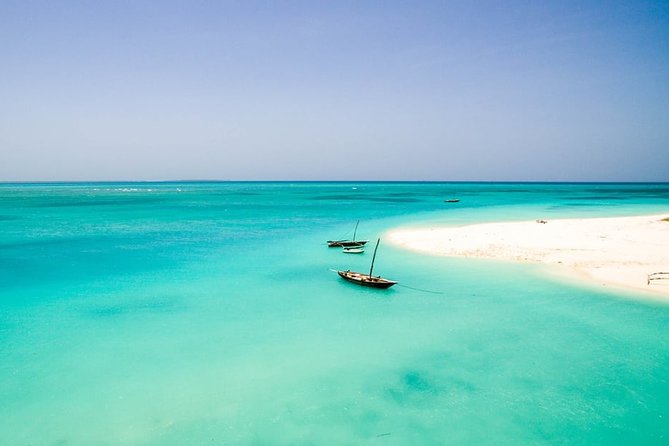 Half-Day Dolphin & Snorkeling Tour in Mnemba Island Zanzibar - Mnemba Island: Clear Water and Coral Reefs in a Half-Day