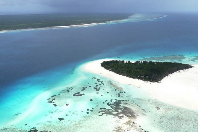Half-Day Dolphin & Snorkeling Tour in Mnemba Island Zanzibar - Transportation, Gear, and Comfort (It All Affects Your Snorkel Time)