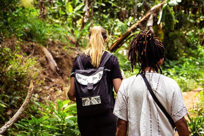 Half-Day Private Tour to Materuni Waterfalls and Coffee excursion - At Materuni Waterfalls: height, viewpoints, and swimming reality