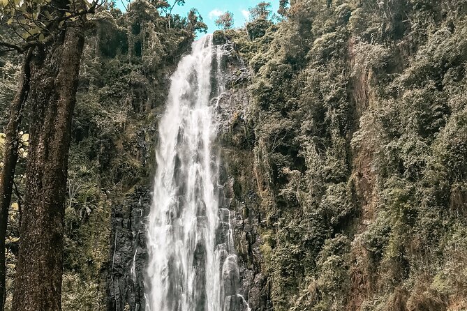 Half-Day Private Tour to Materuni Waterfalls and Coffee excursion - The coffee farm tour: how you get from bean to your cup