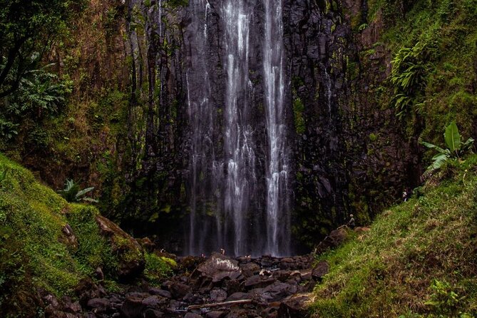 Half-Day Private Tour to Materuni Waterfalls and Coffee excursion - Private tour pacing and why $68 is fair for what you get