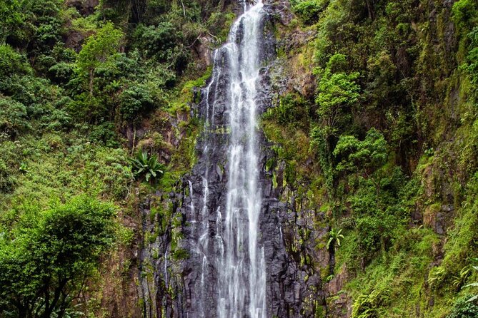 Half-Day Private Tour to Materuni Waterfalls and Coffee excursion - Weather and timing: how to plan around clouds