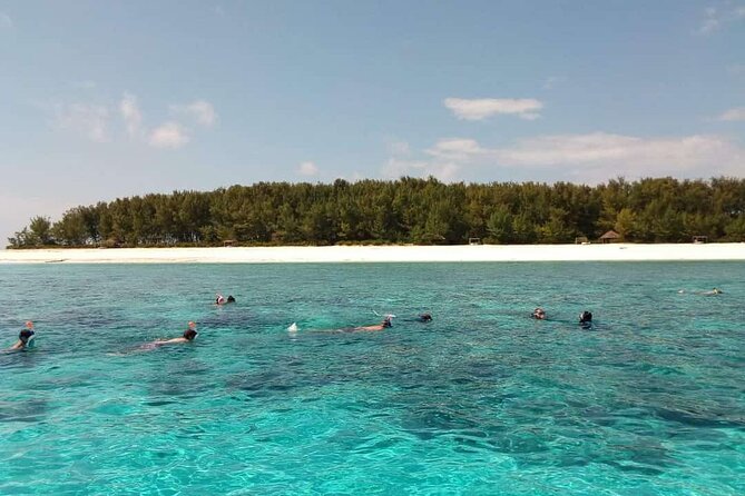 Half Day Zanzibar Mnemba Atoll Marine Reserve Snorkeling Tour - Key highlights to know before you go