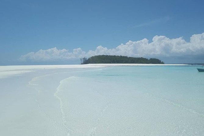 Half Day Zanzibar Mnemba Atoll Marine Reserve Snorkeling Tour - Mnemba Atoll Snorkeling, the real reason people book early