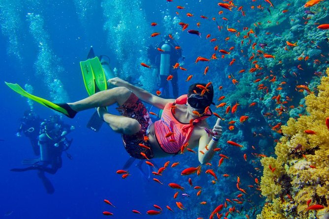 Half Day Zanzibar Mnemba Atoll Marine Reserve Snorkeling Tour - The boat ride to Mnemba Island: quick crossing, dolphin watch