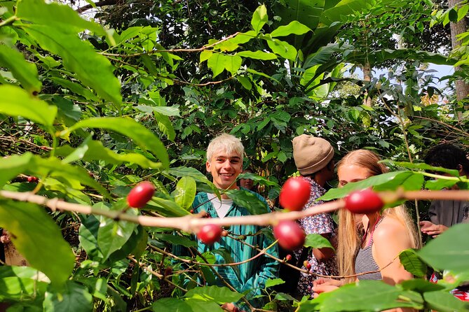 Hidden Arusha Waterfall, Coffee & Village Tour (All-Inclusive) - Key highlights to know before you go
