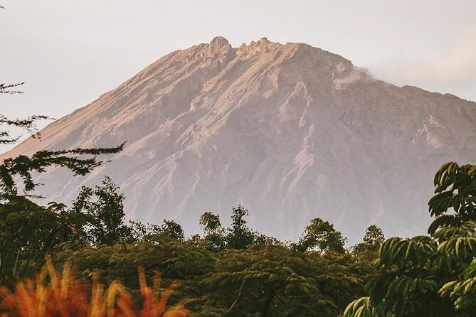 Hidden Arusha Waterfall, Coffee & Village Tour (All-Inclusive) - Stop 2: coffee bean to your cup over a fire