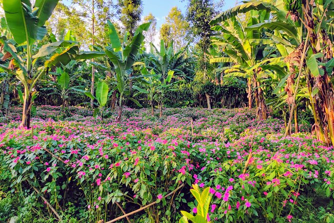 Hidden Arusha Waterfall, Coffee & Village Tour (All-Inclusive) - Stop 4 at Mangalia Waterfalls: healing pools and swim time