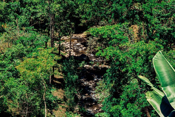 Hidden Arusha Waterfall, Coffee & Village Tour (All-Inclusive) - Stop 5 at Akheri: the Arusha savannah panorama and Kilimanjaro on clear days