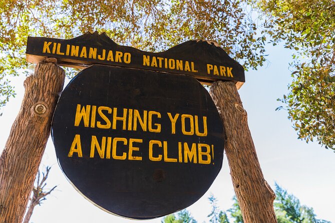 Hiking Mt Kilimanjaro 7 days scenic route & moderate challenge - Day 3 to Lava Tower: The Hardest Climb So Far, Then the Relief Descent