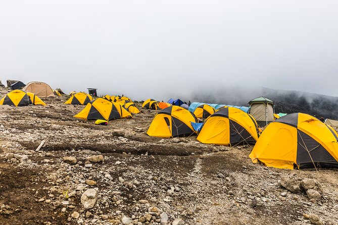 Hiking Mt Kilimanjaro 7 days scenic route & moderate challenge - Day 4: Great Barranco Wall and Karanga Valley Acclimatization Boost