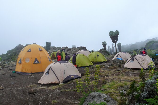 Hiking Mt Kilimanjaro 7 days scenic route & moderate challenge - Day 5: Barafu Hut, No Water at Camp, and Wind You Can Feel
