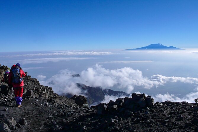 Hiking Mt Kilimanjaro 7 days scenic route & moderate challenge - Day 7: Celebration, Certificates, and the Descent to Mweka Gate