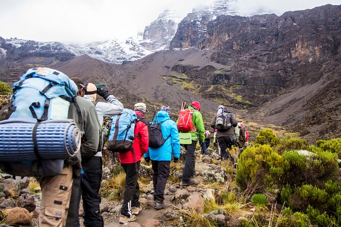 Hiking Mt Kilimanjaro 7 days scenic route & moderate challenge - Day 2: Shira Plateau Basics, Moorland Breathing, and Cold Nights