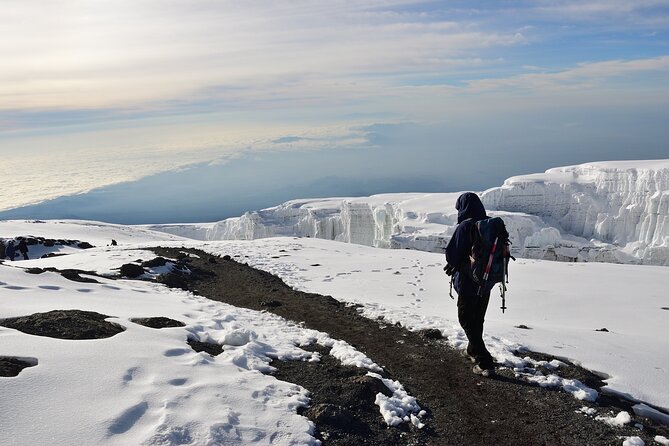 Hiking Mt Kilimanjaro 8 days, the most scenic route up Kili - Day 1: From Moshi to Londorossi Gate, then into Big Tree Camp