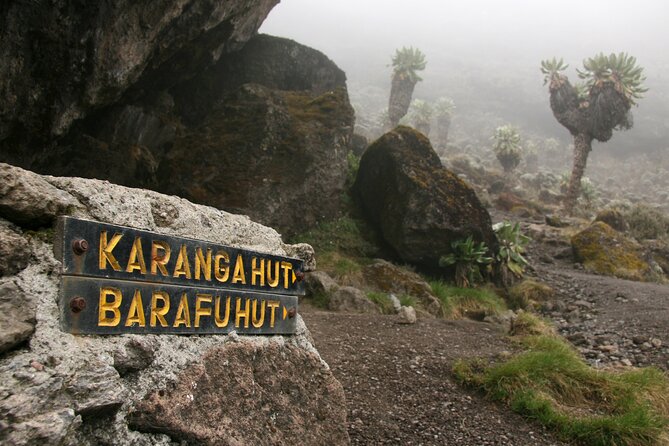 Hiking Mt Kilimanjaro 8 days, the most scenic route up Kili - Day 7: Summit night starts, Stella Point sunrise, then Uhuru Peak