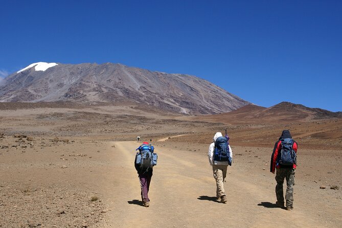 Hiking Mt Kilimanjaro 8 days, the most scenic route up Kili - Day 2: Shira One Camp and that across-the-plateau Kibo view