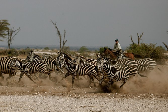 Horse safaris in Tanzania - Horse Safari Outside Arusha: What This Really Looks Like on the Ground