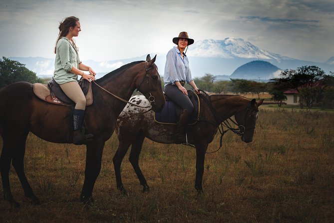 Horse safaris in Tanzania - Meeting at Kaskazi Horse Safaris: Helmets, Short Briefings, and Easy Check-In